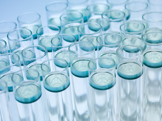 Wall Mural - a group of test tubes with liquid