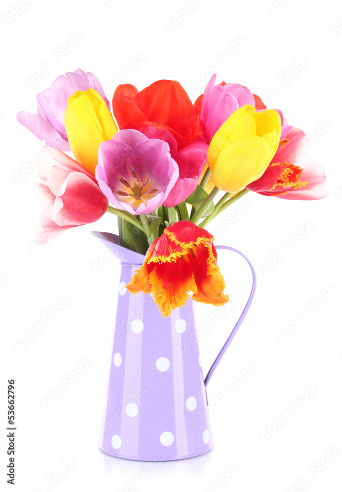 Beautiful tulips in bouquet isolated on white