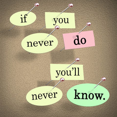 If You Never Do You'll Never Know Pushpin Saying Quote