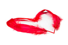 Heart Feather