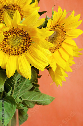Naklejka na szybę Sunflowers bouquet