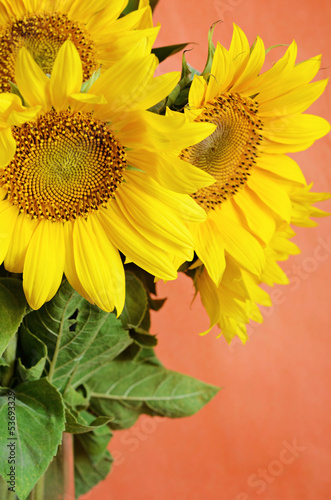 Naklejka na drzwi Sunflowers bouquet