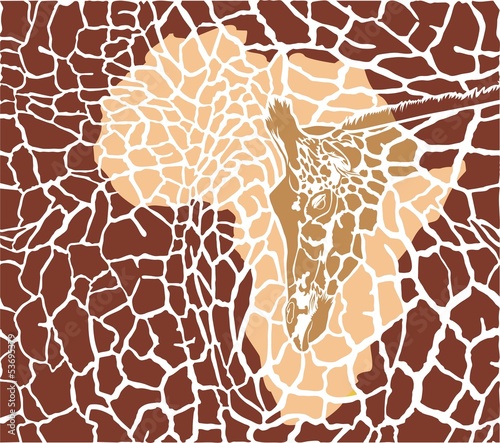 tlo-z-zyrafami-i-afryka
