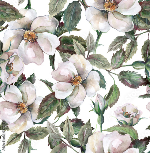 Naklejka na kafelki Wild Roses Seamless Pattern