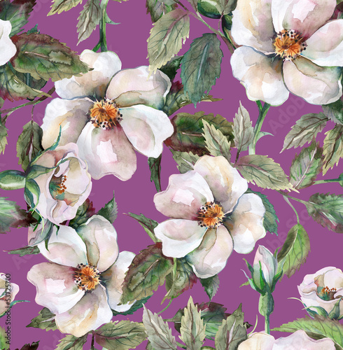 Fototapeta na wymiar Wild Roses Seamless Pattern