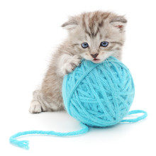 Cat With Ball Of Yarn