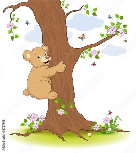 Fototapeta na wymiar Bär klettert am Baum