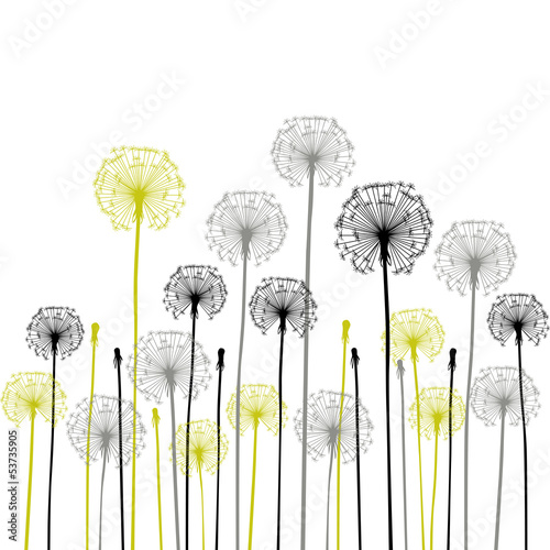 Naklejka - mata magnetyczna na lodówkę floral background, dandelion