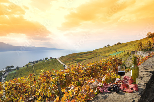Plakat na zamówienie Glass of red wine on the terrace vineyard in Lavaux region, Swit