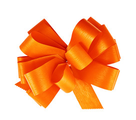 Gift ribbon bow isolated