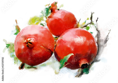 Naklejka - mata magnetyczna na lodówkę pomegranate