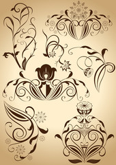 Wall Mural - Set of floral vintage vector design elements.