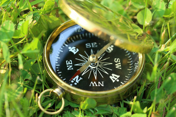 Wall Mural - Golden compass on green grass