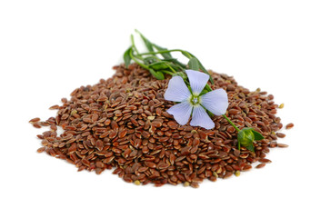 Wall Mural - Flax seeds and flowers.