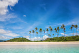 Fototapeta  - Palm and tropical beach