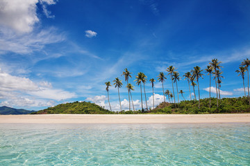 Palm and tropical beach