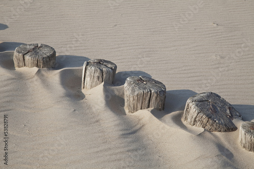 Naklejka - mata magnetyczna na lodówkę Pnie drzewa na plaży