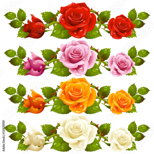 Fototapeta na wymiar Vector rose horizontal vignette isolated on background
