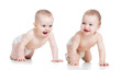 Smiling babies girl and boy crawling on floor