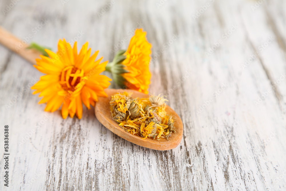 Fresh and dried calendula flowers on wooden background