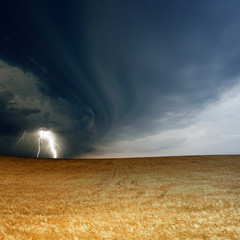 Poster - Stormy sky, ripe barley