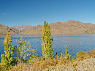 Wall Mural - Lake Pukaki, New Zealand