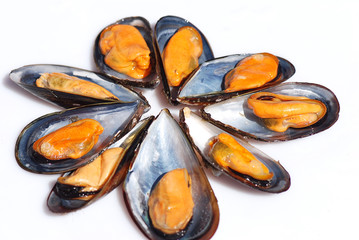 Wall Mural - MEJILLONES GALLEGOS. PRODUCTOS DEL MAR. ESPAÑOL