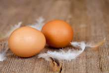Two Eggs And Feathers