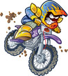 BMX Dirt Bike Rider