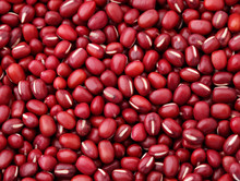 Adzuki Red Bean