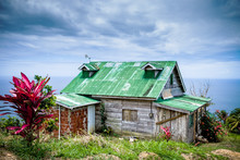 House With Green Roof In The Caribbean