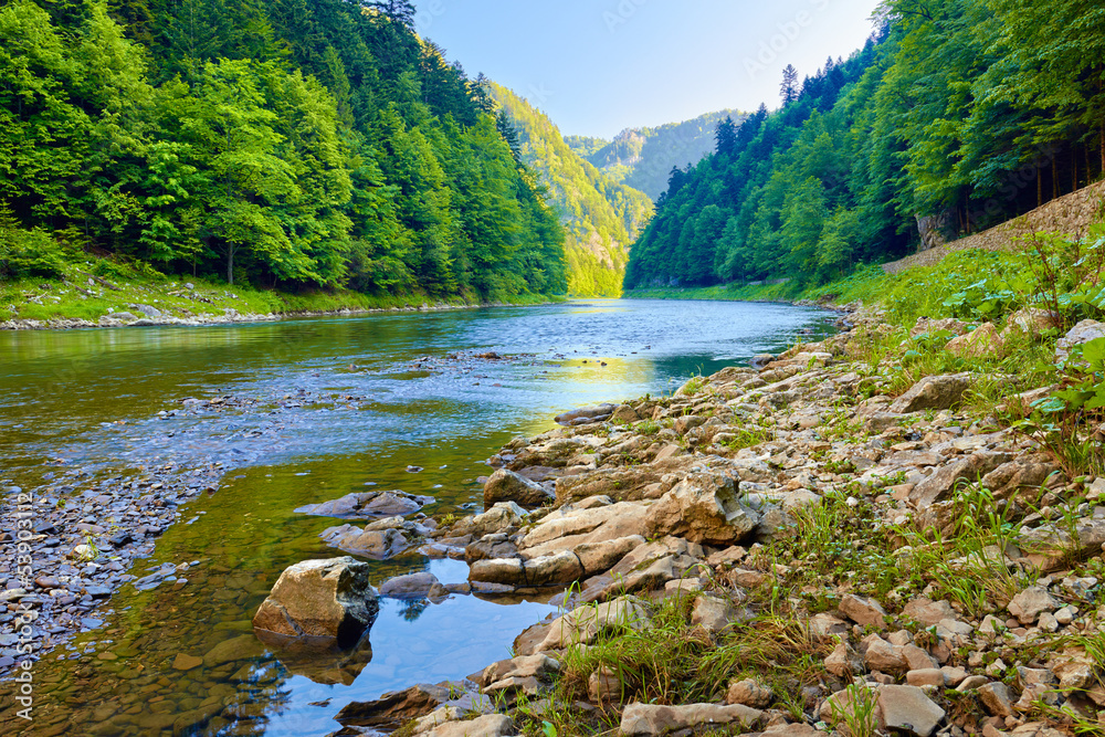 Stones and rocks in the morning in The Dunajec River Gorge - obrazy, fototapety, plakaty 