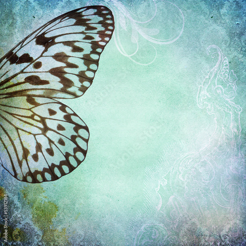 Foto-Schmutzfangmatte - Vintage shabby chic background with butterfly (von Kanea)