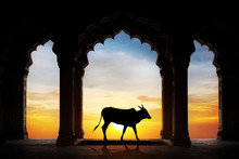 Indian Cow Silhouette