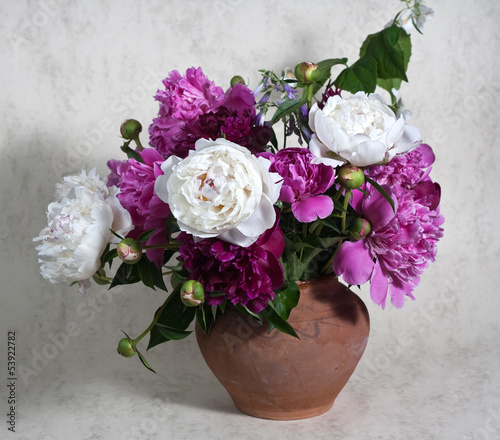 Obraz w ramie peonies