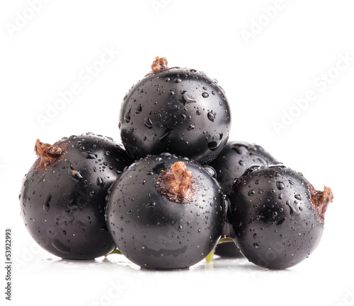 Fototapeta na wymiar Black currant isolated on white background