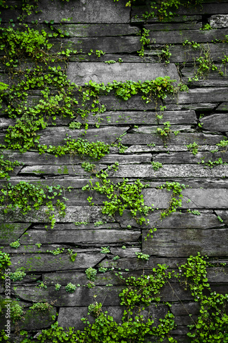 Obraz w ramie Old stone wall with leaves background