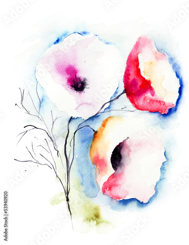 kwiaty-maku-w-wyblaklych-i-bladych-kolorach-akwarela
