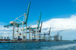 Cranes of the Miami Seaport