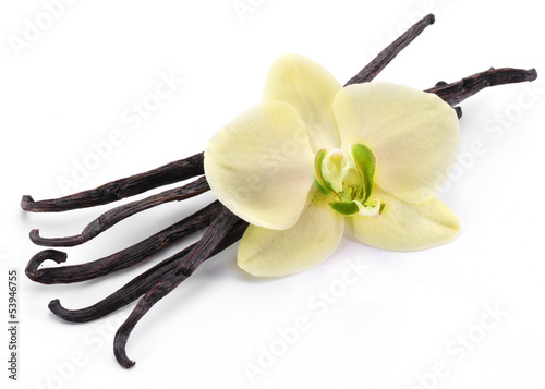 Naklejka - mata magnetyczna na lodówkę Vanilla sticks with a flower.