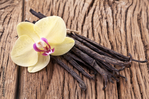 Fototapeta na wymiar Vanilla sticks with a flower.