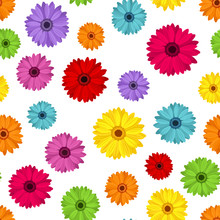 Seamless Background With Colored Gerbera. Vector Illustration.