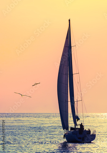 Fototapeta na wymiar skyline sailboat and two seagull