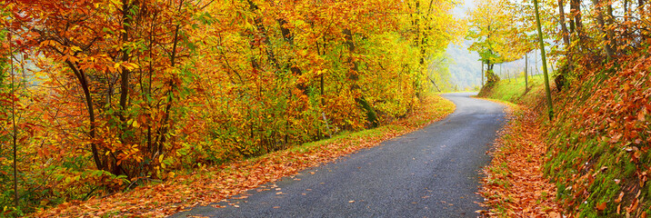 Panoramic view of road in autumn