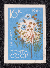 Wall Mural - Postage stamp