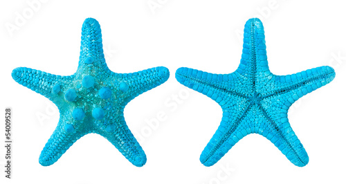 Cuadros en Lienzo blue starfish isolated on white background