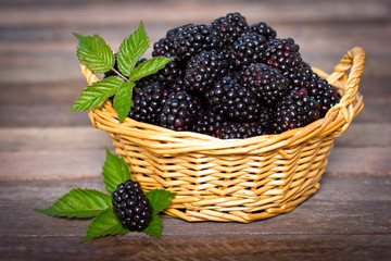 Blackberries in the basket