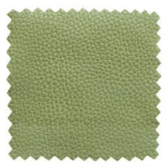 Wall Mural - green leather samples texture