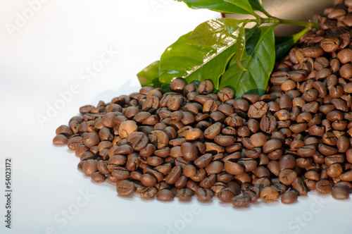 Naklejka na szybę Kaffegenuss