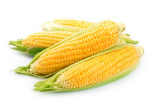 Corn Isolated